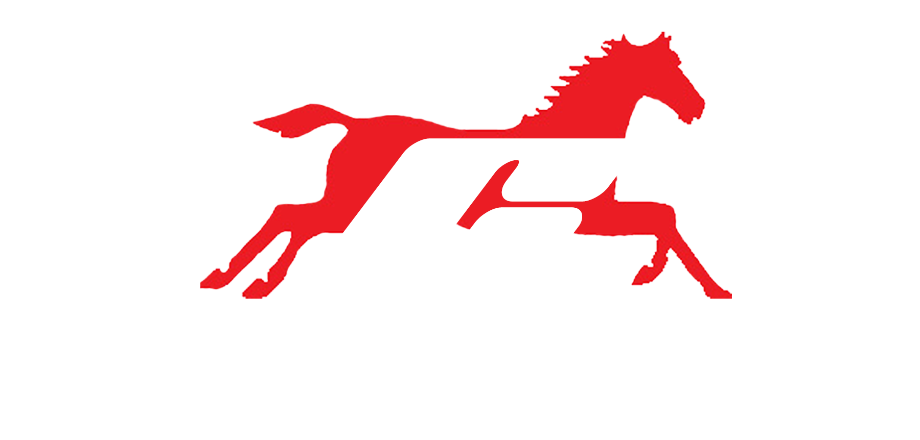 Hydraulic Hose Shop Near Me